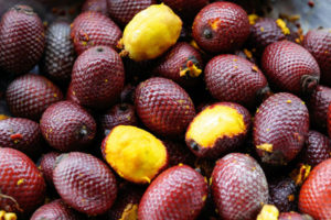 buriti 